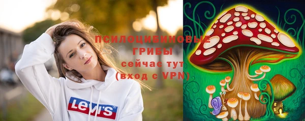 СК Алзамай